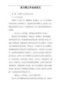 实习期工作总结范文