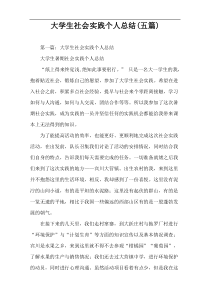 大学生社会实践个人总结(五篇)