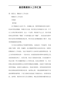 基层数据录入工作汇报