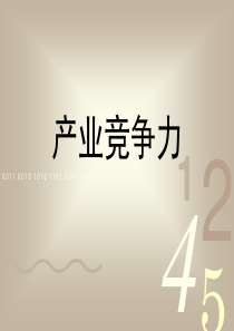 产业竞争力