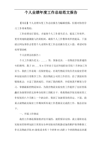个人业绩年度工作总结范文报告