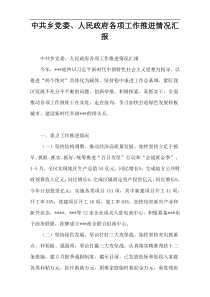 中共乡党委、人民政府各项工作推进情况汇报