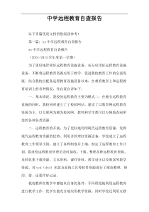 中学远程教育自查报告