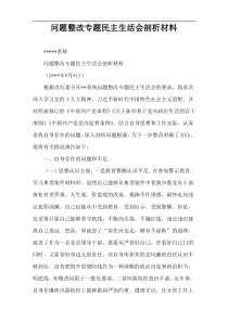 问题整改专题民主生活会剖析材料