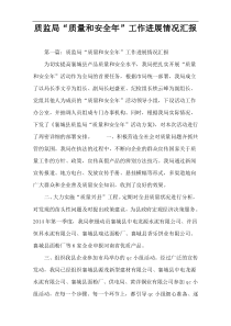 质监局“质量和安全年”工作进展情况汇报