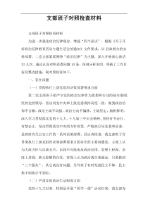 支部班子对照检查材料