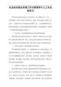 社会治安综合治理工作分管领导个人工作总结范文