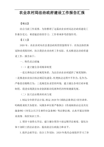 农业农村局法治政府建设工作报告汇报