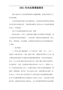 2021污水处理调查报告