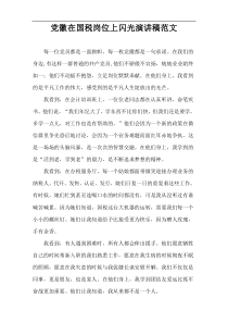 党徽在国税岗位上闪光演讲稿范文