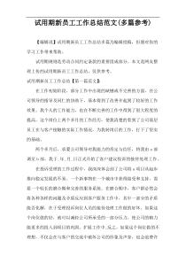 试用期新员工工作总结范文(多篇参考)