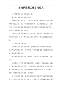 出纳试用期工作总结范文