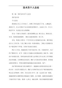 技术员个人总结