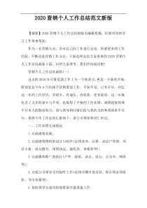 2020营销个人工作总结范文新版