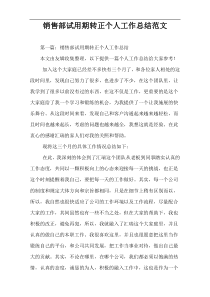 销售部试用期转正个人工作总结范文