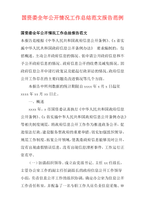 国资委全年公开情况工作总结范文报告范例