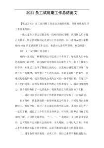 2021员工试用期工作总结范文