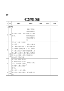 技能培训专题：煤矿（221）项检查内容