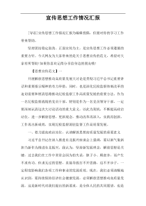 宣传思想工作情况汇报
