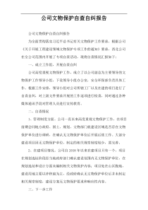 公司文物保护自查自纠报告