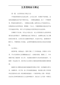 文员顶岗实习周记
