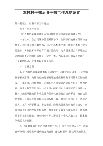 农村村干部后备干部工作总结范文