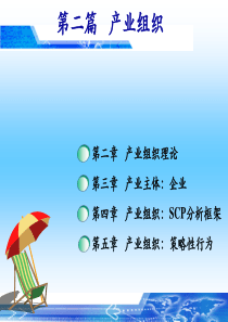 产业组织理论第2章