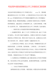 司法局年度信息情况公开工作报告汇报范例