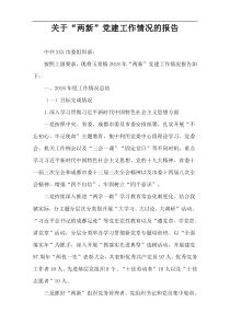 关于“两新”党建工作情况的报告