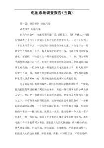 电池市场调查报告(五篇)