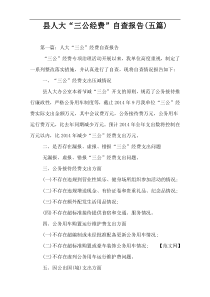 县人大“三公经费”自查报告(五篇)