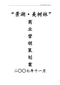 湖北荆州景湖商业地产项目策划案