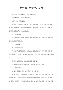 小学校本研修个人总结