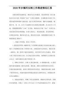 2020年乡镇河长制工作推进情况汇报