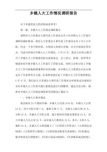 乡镇人大工作情况调研报告