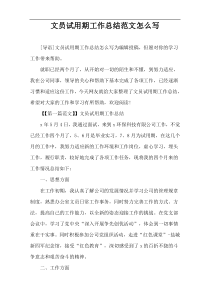 文员试用期工作总结范文怎么写
