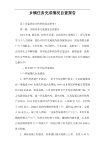 乡镇任务完成情况自查报告