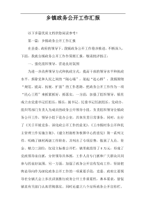 乡镇政务公开工作汇报