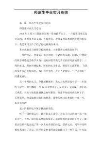 师范生毕业实习总结