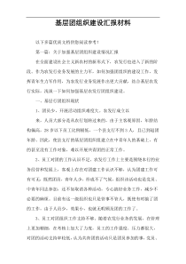 基层团组织建设汇报材料