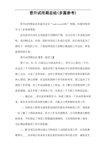 晋升试用期总结(多篇参考)