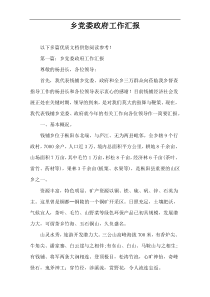 乡党委政府工作汇报