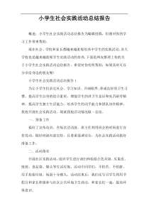 小学生社会实践活动总结报告