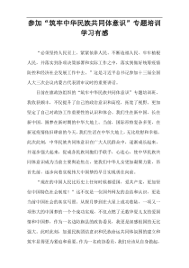 参加“筑牢中华民族共同体意识”专题培训学习有感