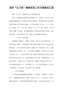 某村“尖刀班”精准扶贫工作开展情况汇报