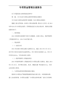 专项资金管理自查报告