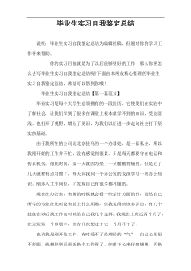 毕业生实习自我鉴定总结