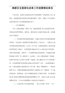 高新区全面深化改革工作进展情况报告