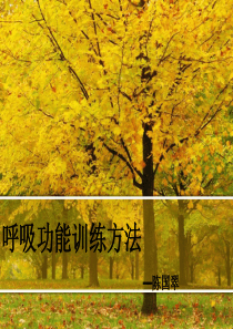 呼吸功能锻炼方法课件(陈国翠)