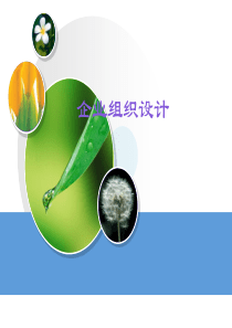 企业组织设计